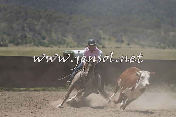 AdaminabyCampdraft2014_0345