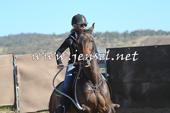 AdaminabyCampdraft2014_0724