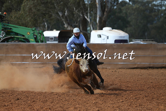 IllaboCampdraft2015_5455