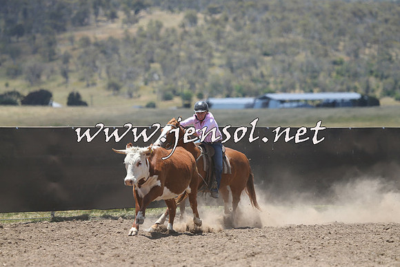 AdaminabyCampdraft2014_0303