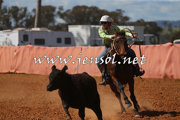 IllaboCampdraft2015_5374