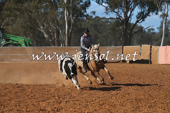IllaboCampdraft2015_5771