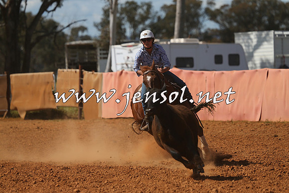 IllaboCampdraft2015_5399