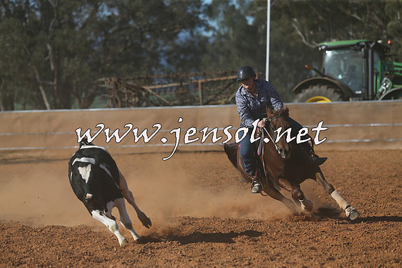 IllaboCampdraft2015_5814