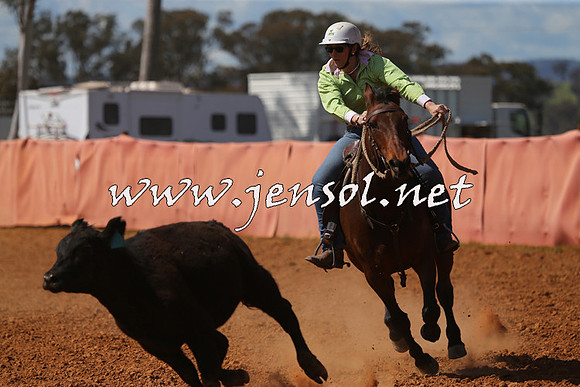 IllaboCampdraft2015_5377