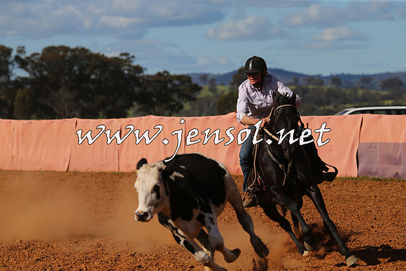 IllaboCampdraft2015_5655