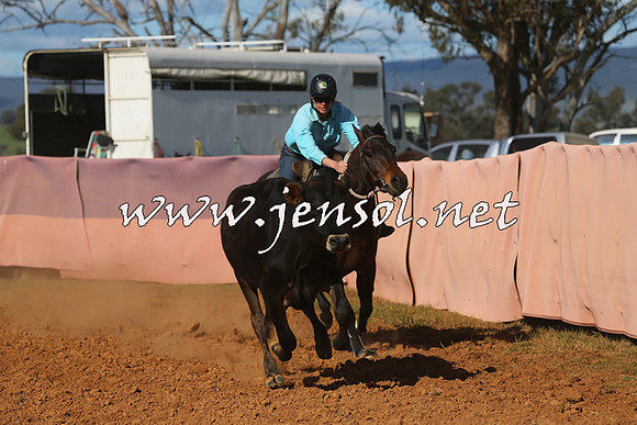 IllaboCampdraft2015_5683