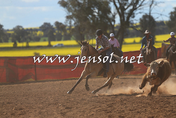 IllaboCampdraft2015_5517