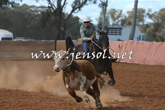 IllaboCampdraft2015_5432