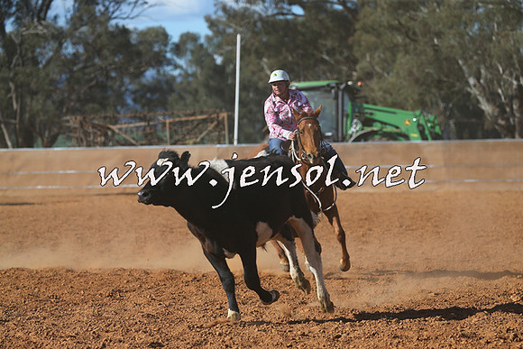 IllaboCampdraft2015_5750