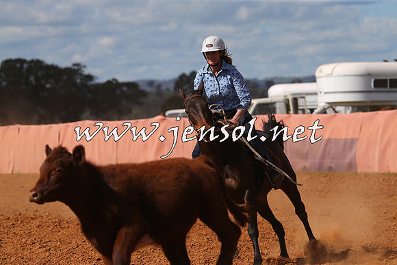 IllaboCampdraft2015_5446