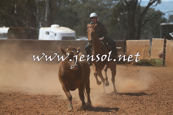 IllaboCampdraft2015_5333