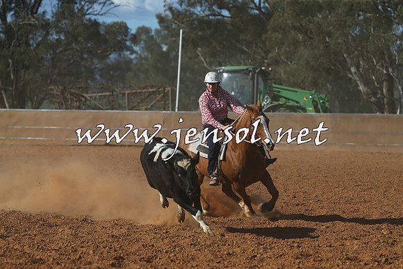 IllaboCampdraft2015_5801