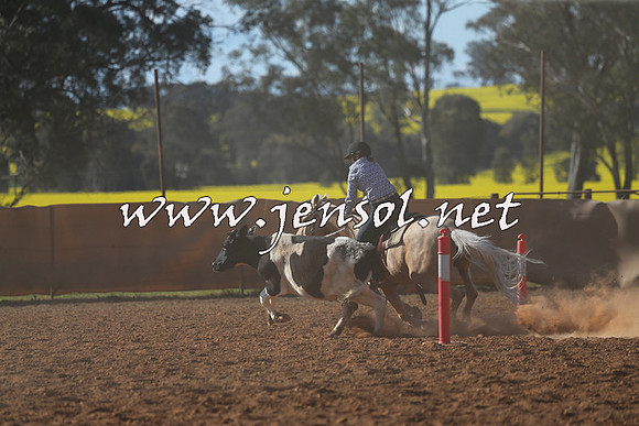 IllaboCampdraft2015_5789