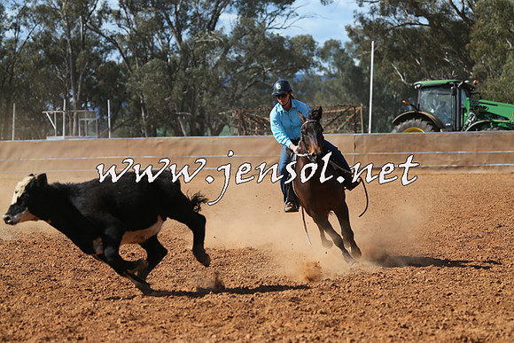 IllaboCampdraft2015_5465
