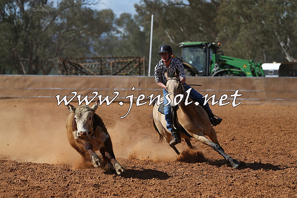 IllaboCampdraft2015_5505