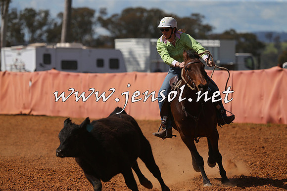 IllaboCampdraft2015_5375