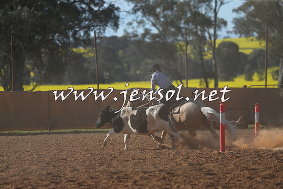 IllaboCampdraft2015_5790