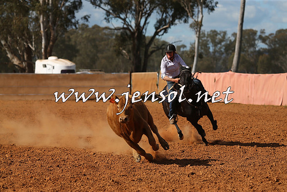 IllaboCampdraft2015_5540