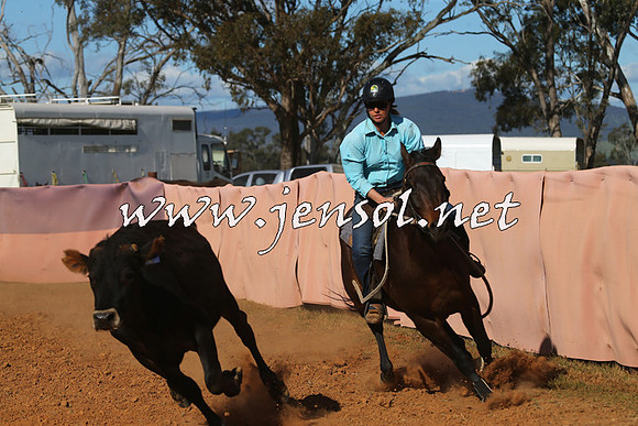 IllaboCampdraft2015_5681
