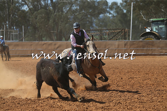 IllaboCampdraft2015_5411