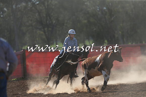 IllaboCampdraft2015_5708