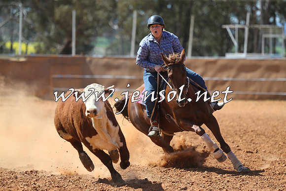 IllaboCampdraft2015_5358