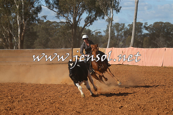 IllaboCampdraft2015_5721