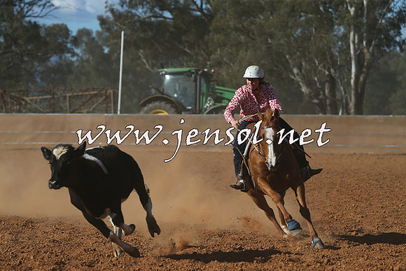 IllaboCampdraft2015_5807