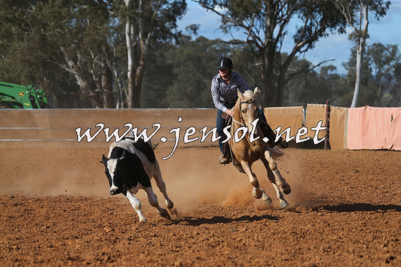 IllaboCampdraft2015_5780