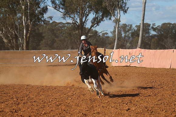 IllaboCampdraft2015_5720