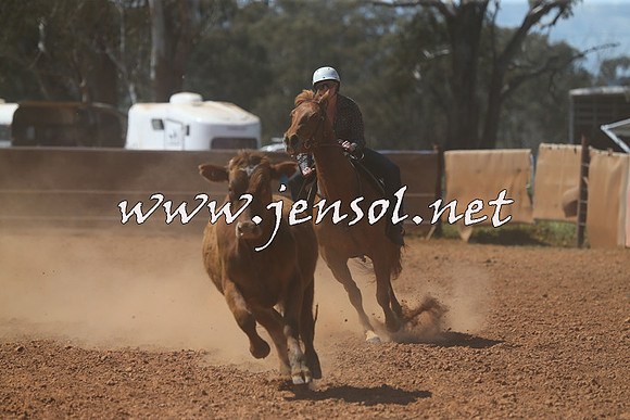 IllaboCampdraft2015_5334
