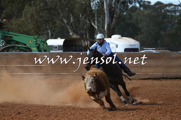 IllaboCampdraft2015_5458
