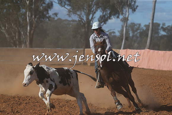 IllaboCampdraft2015_5831