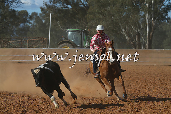 IllaboCampdraft2015_5808
