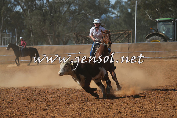IllaboCampdraft2015_5504