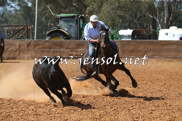 IllaboCampdraft2015_5382