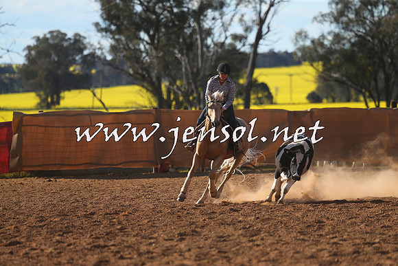 IllaboCampdraft2015_5792