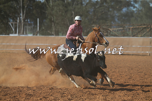IllaboCampdraft2015_5805