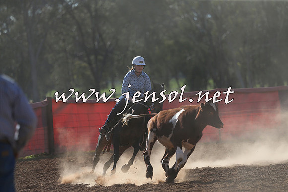 IllaboCampdraft2015_5709