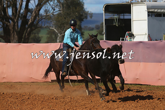 IllaboCampdraft2015_5676