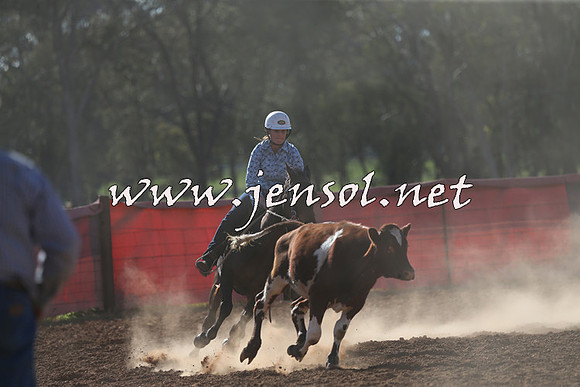 IllaboCampdraft2015_5710
