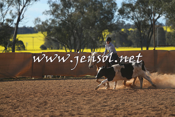 IllaboCampdraft2015_5785