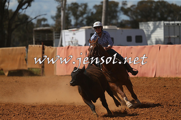 IllaboCampdraft2015_5400
