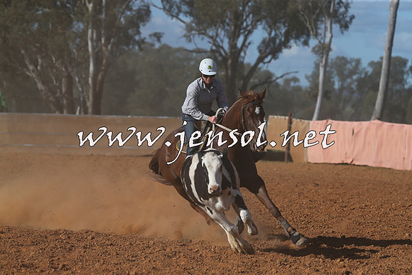 IllaboCampdraft2015_5837