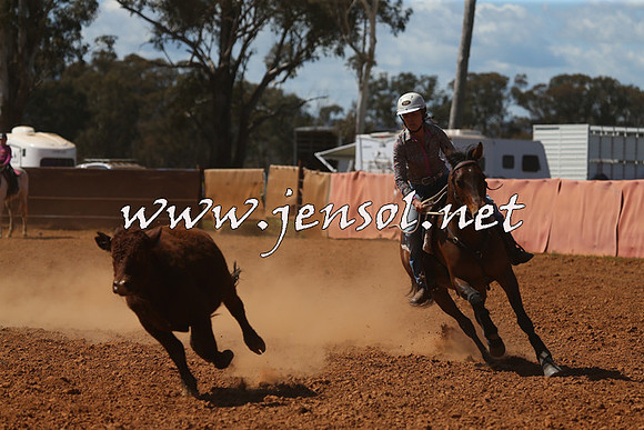 IllaboCampdraft2015_5342