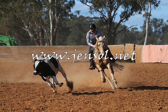 IllaboCampdraft2015_5781
