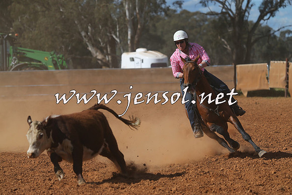 IllaboCampdraft2015_5528
