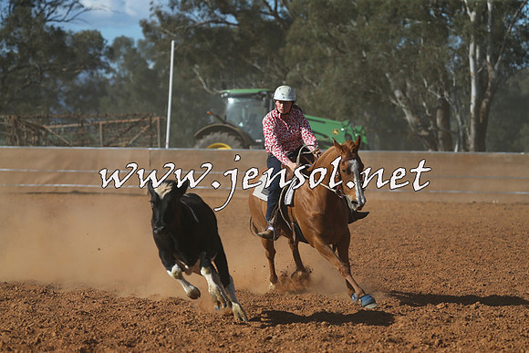 IllaboCampdraft2015_5810