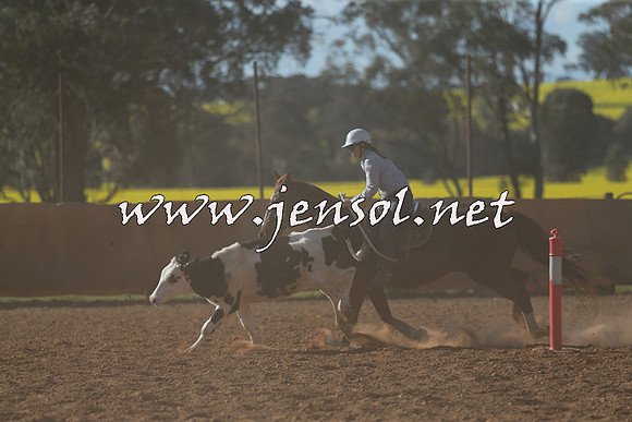 IllaboCampdraft2015_5838